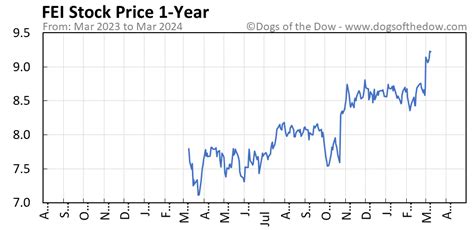 fei stock