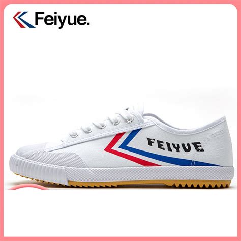 feiyue fs288 user guide Kindle Editon