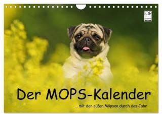 feldfurchen mops wandkalender 2016 quer monatskalender PDF