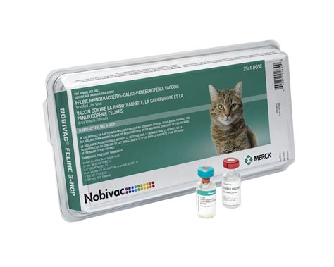 feline immunodeficiency virus vaccine