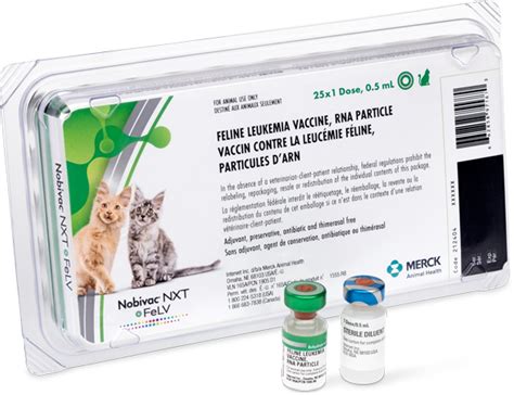 felv vaccine for cats