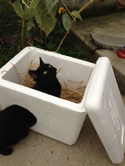 feral cat outdoor shelter