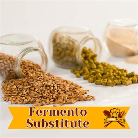 fermento substitute recipe Doc