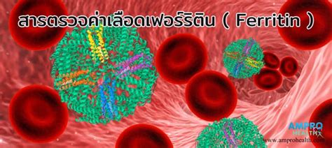 ferritin คือ