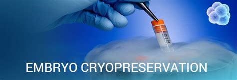 fertility cryopreservation fertility cryopreservation PDF