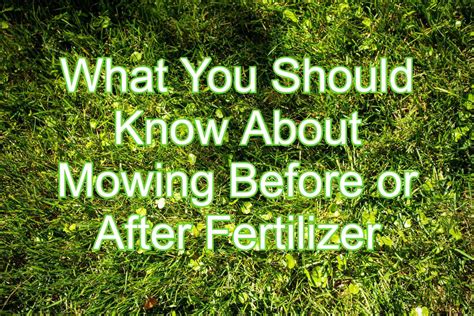 fertilize before or after mowing