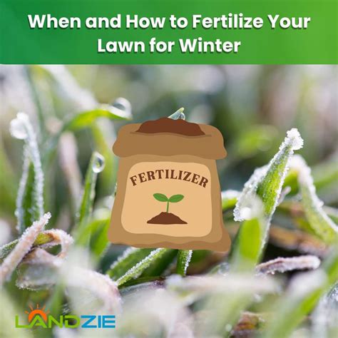 fertilize lawn in winter