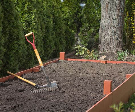 fertilize raised beds