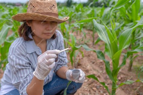 fertilized farmsoil