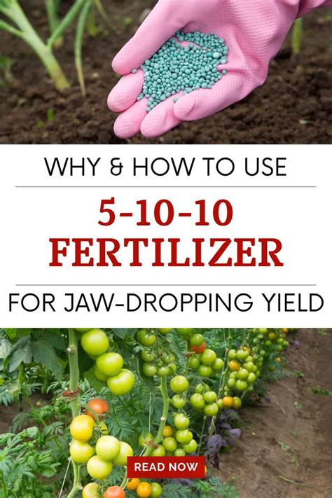 fertilizer 5 10 10