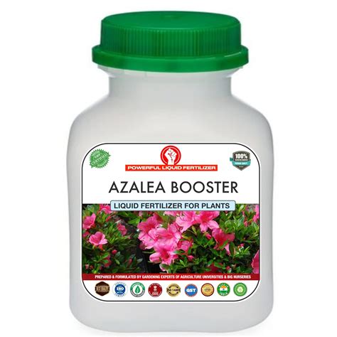 fertilizer azalea