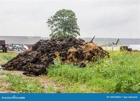 fertilizer cow