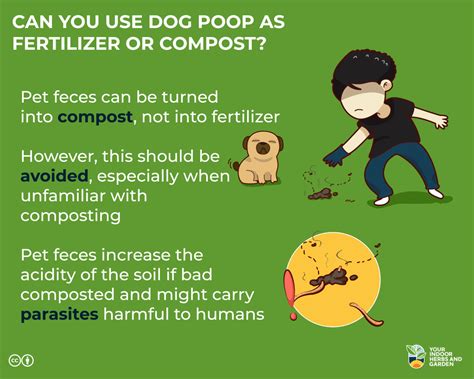 fertilizer dog poop