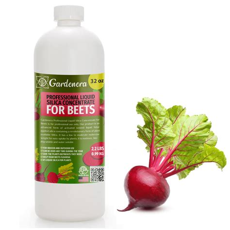 fertilizer for beets