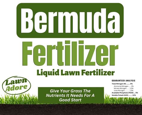 fertilizer for bermuda