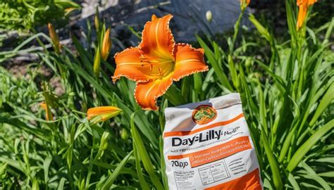 fertilizer for daylilies