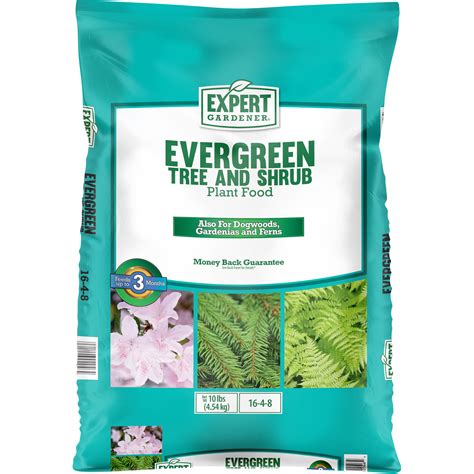 fertilizer for evergreen trees