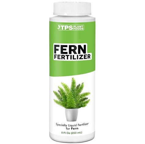 fertilizer for ferns