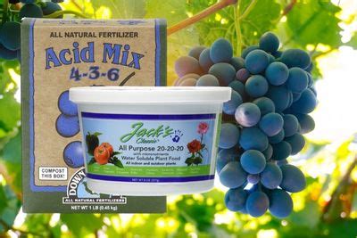 fertilizer for grapes