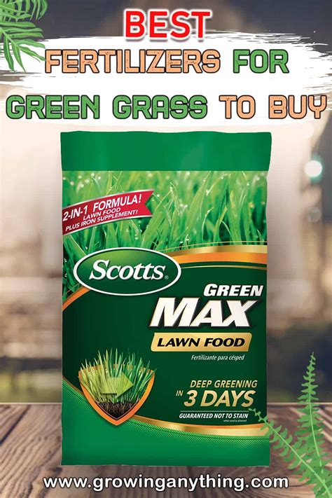 fertilizer for green grass