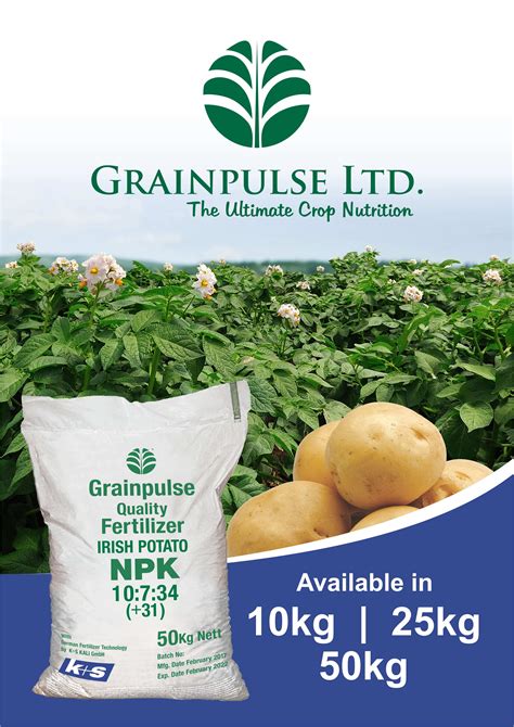 fertilizer for irish potatoes