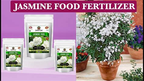 fertilizer for jasmine