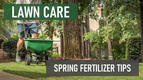 fertilizer for lawns in spring