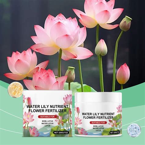 fertilizer for lilies