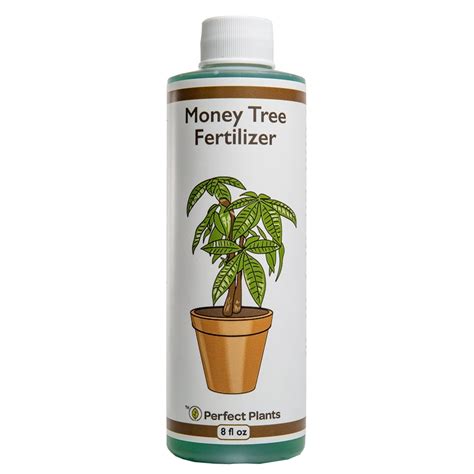 fertilizer for money tree