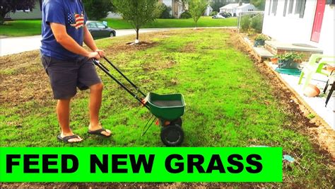 fertilizer for new grass