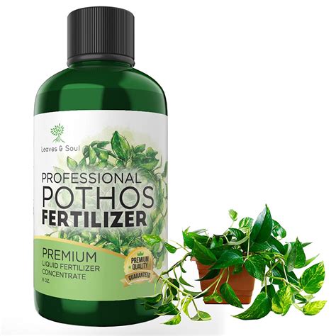 fertilizer for pothos