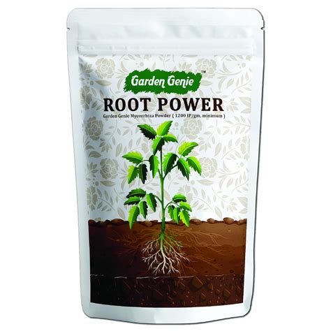 fertilizer for root growth