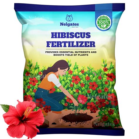 fertilizer hibiscus