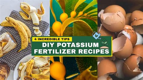 fertilizer high potassium