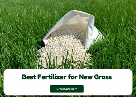 fertilizer new grass