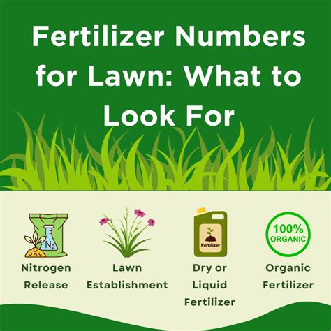 fertilizer numbers for lawn