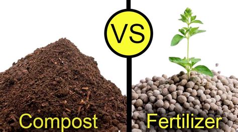 fertilizer or compost