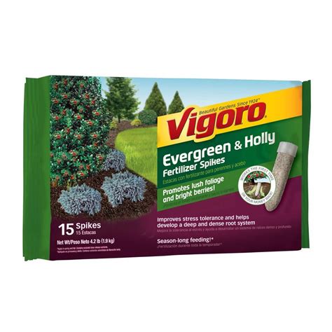 fertilizer spikes for evergreens