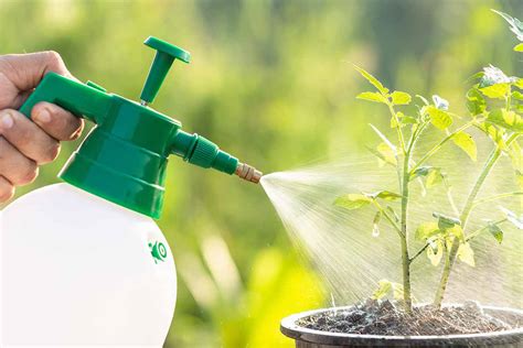 fertilizer spray