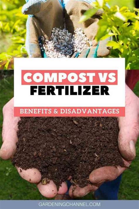 fertilizer versus compost