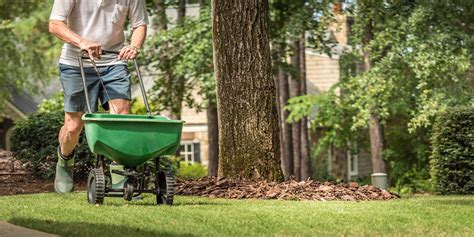 fertilizing in fall