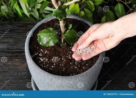 fertilizing pot