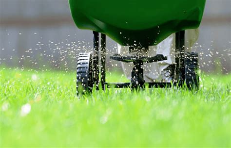 fertilizing service