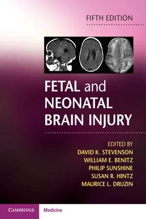 fetal and neonatal brain injury fetal and neonatal brain injury Reader