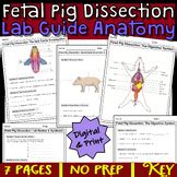 fetal pig dissection teacher guide Doc