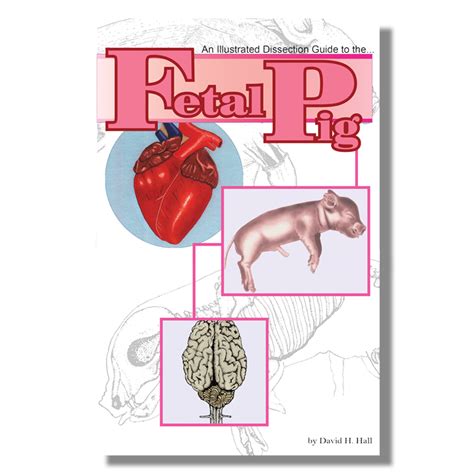 fetal-pig-dissection-data-sheet-teacher-guide Ebook Reader