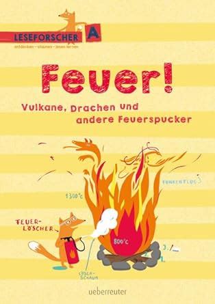 feuer vulkane drachen andere feuerspucker Kindle Editon