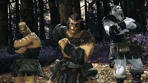 ffxi fov leveling guide PDF