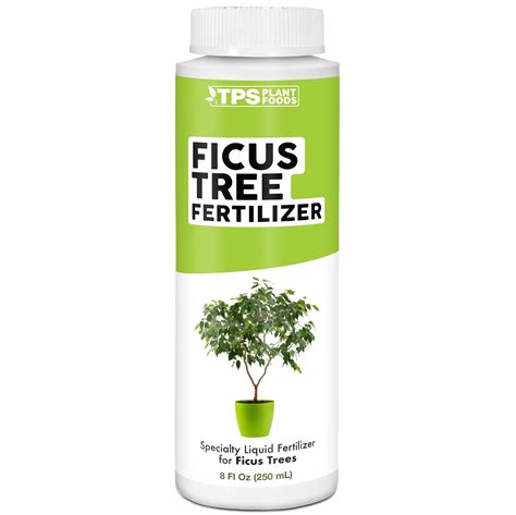 ficus tree fertilizer