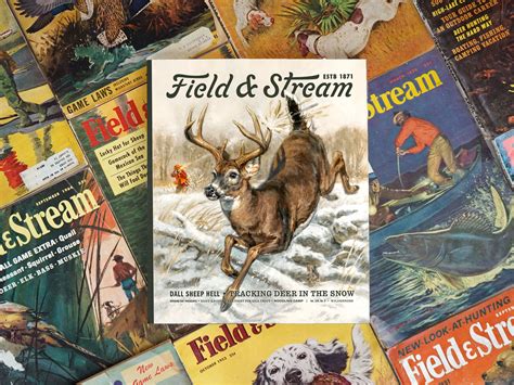 Field And Stream Free Catalog